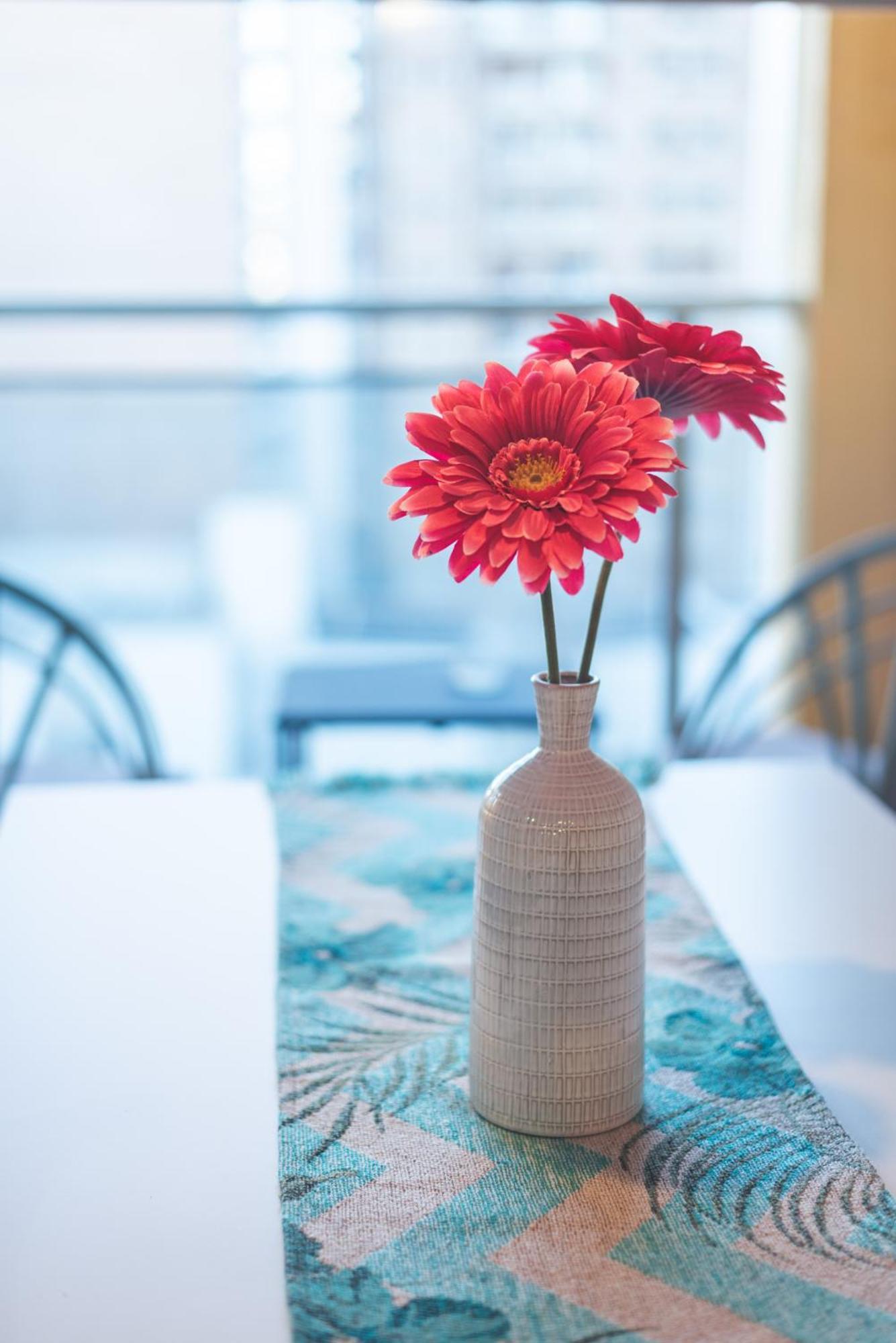 Centrico 2 Dorm Balcon Con Parrilla Opcion Cochera Apartamento *